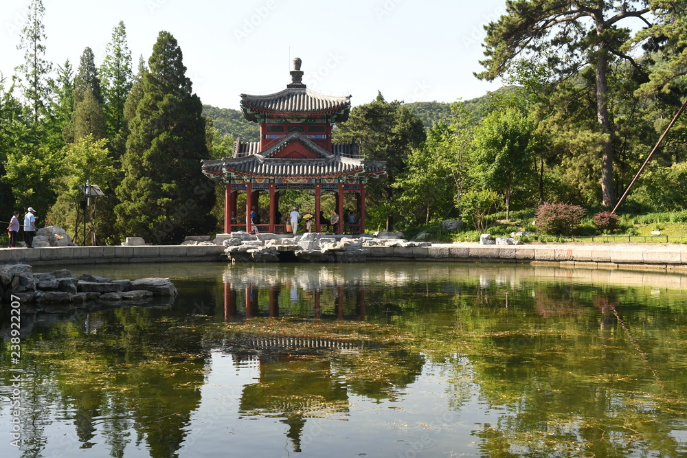 Chine, chinois, temple, bouddha, bouddhisme, religion, jardin,