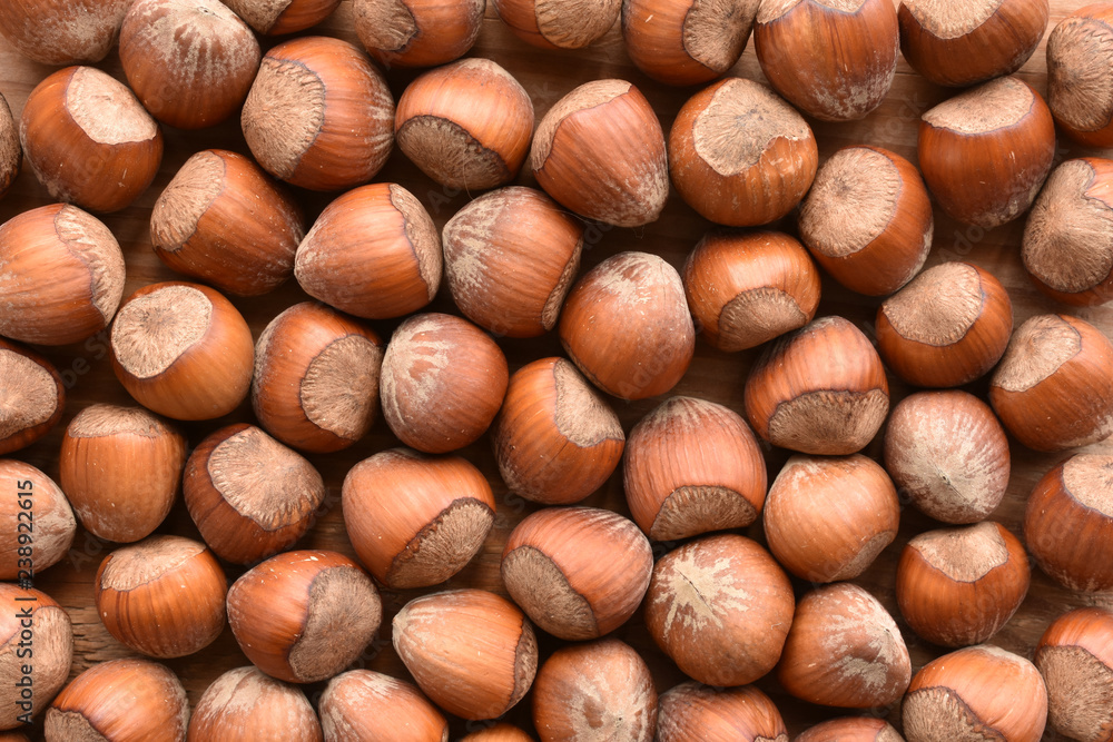 a backgound of hazelnuts in there shells a backgound of hazelnuts in there shells