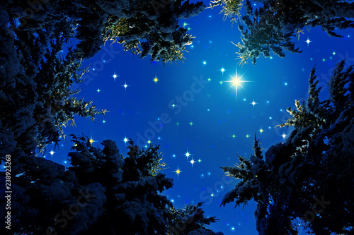 Winter landscape with snow covered fir trees and stars sky.