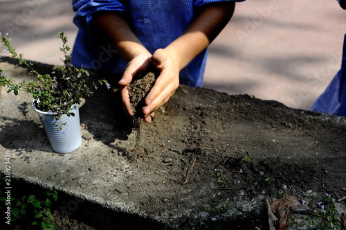 little children playing, expolring and gardening in the garden with soil, leaves, nuts, sticks, plants, seeds during a school activity - learning by doing, education and play in the nature concept photo