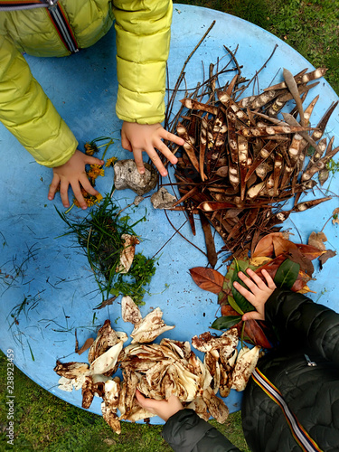 little children playing, expolring and gardening in the garden with soil, leaves, nuts, sticks, plants, seeds during a school activity - learning by doing, education and play in the nature concept photo
