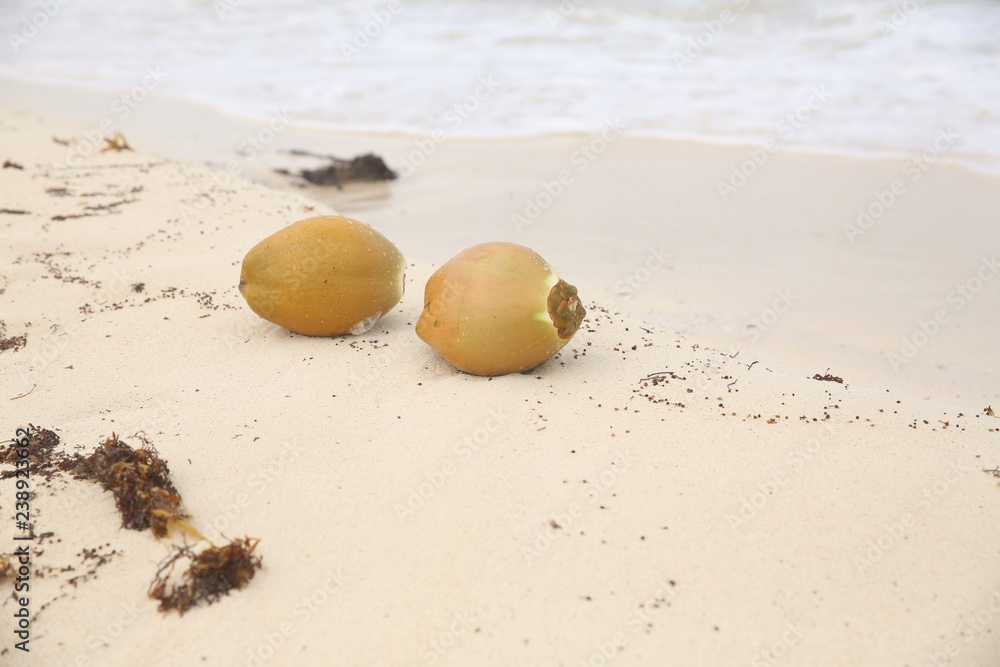 Tropical Beach Washed By The Blue Wave Of The Sea With Coconuts On The Sand With