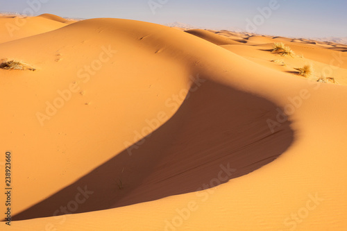 curved shadow on the giant dune  in desert in Morocco