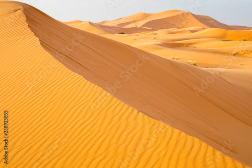 golden hills in desert in Morocco