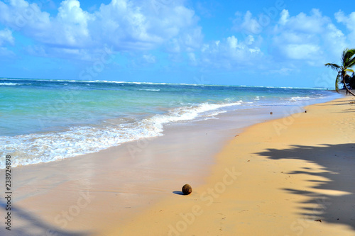 Beach paradise island in the Caribbean. Dominican Republic © alvindom