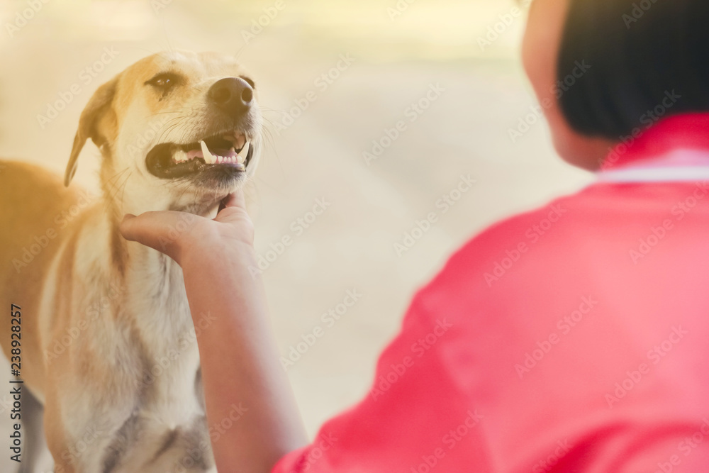Teenage girl in pink shirt greeting her brown dog when she retur