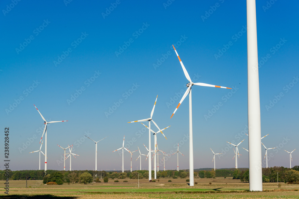 Windpark in der Nähe von Berlin Windpark in der Nähe von Berlin