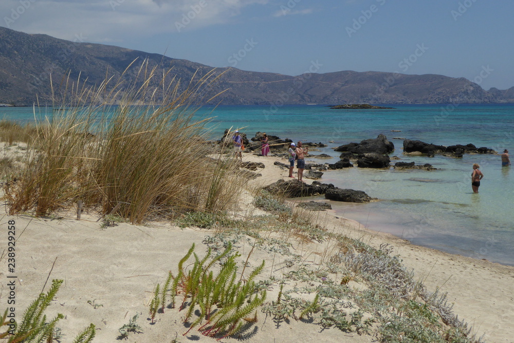 Plants and sand at Elafonissi Beach, Crete