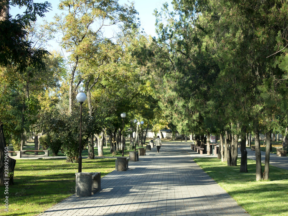 City Park. Green trees along the sidewalks, street lamps, benches. In the distance is the silhouette of a man.