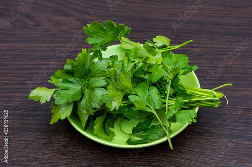  fresh parsley on a green plate