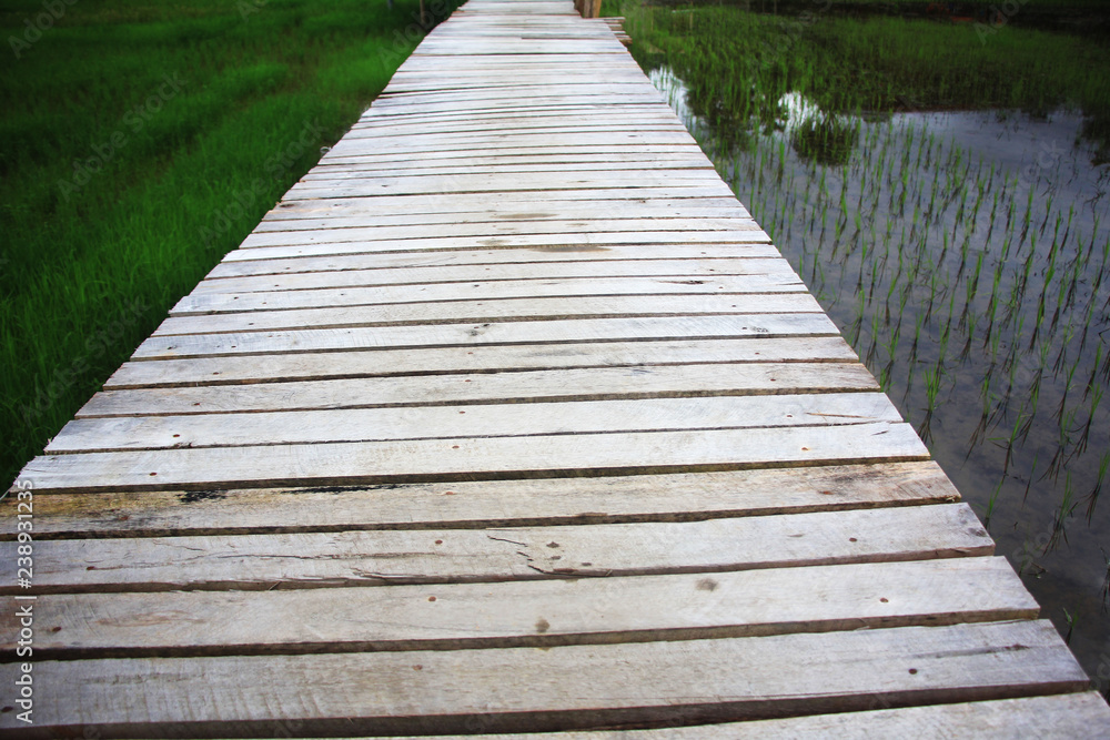 wooden bridge in the forest wooden bridge in the forest