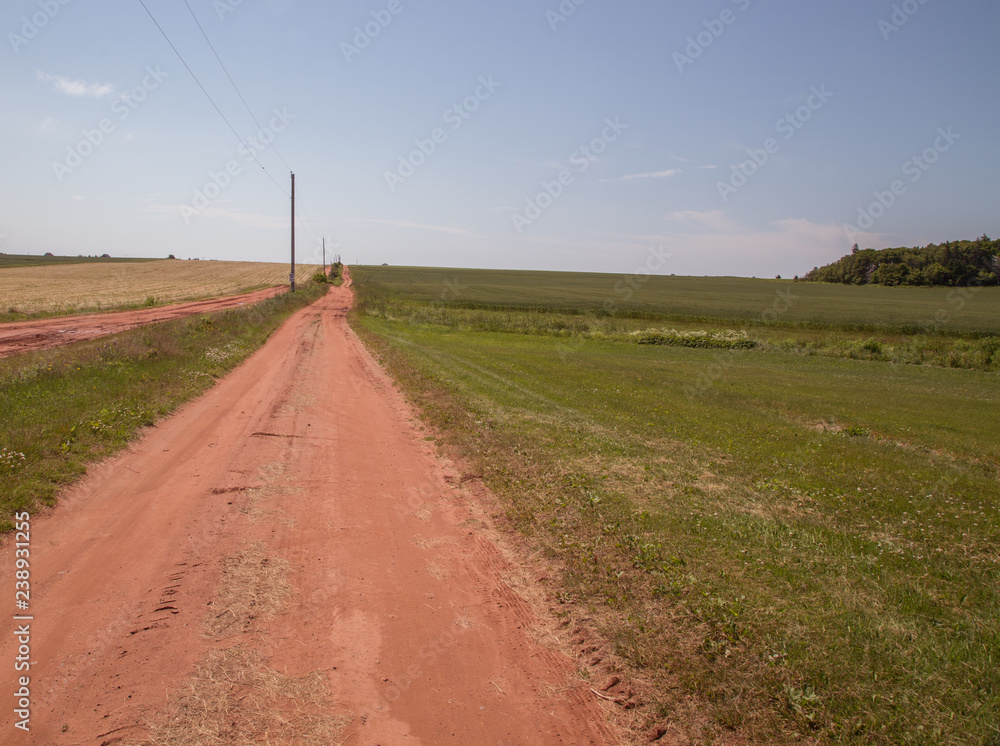 country road in prince edward island