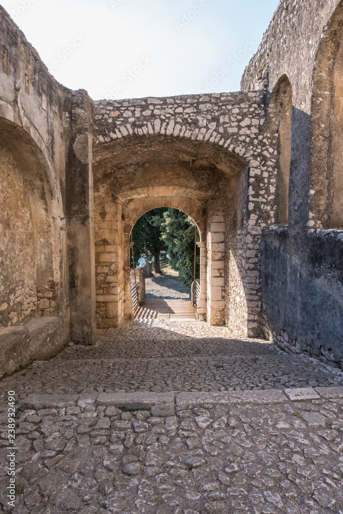 Side entrance of an ancient castle. Vertical image,