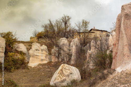 Part of the giant rock composition "Stone Wedding". Different minerals in the rock are also the reason for the variety of colors and shades. Bulgaria.