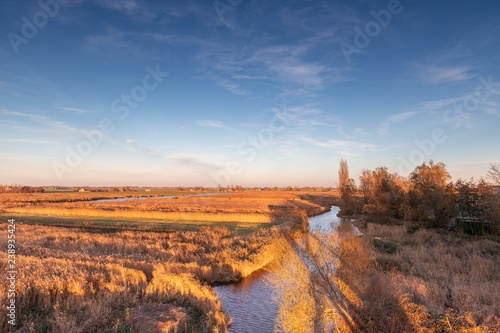 Dutch typical flat landscape with fields of cane, a ditch passing through wandering off into the horizon at sunset which makes the field orange gold against a deep blue sky