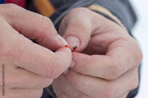 the fisherman places a red worm as a bait on a fishing hook