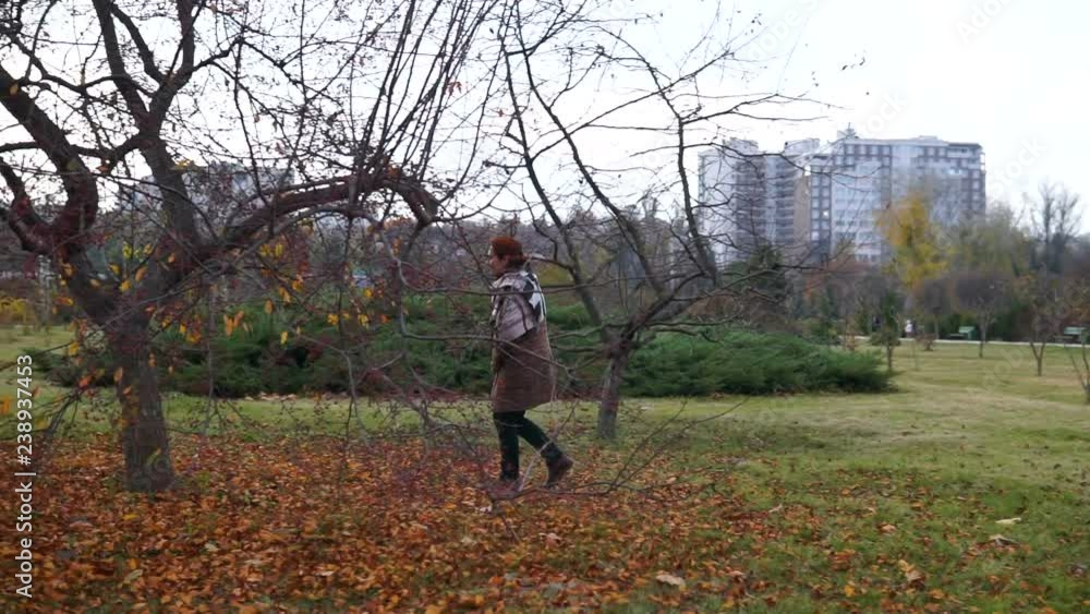 Woman walks through the park between the yellow-covered trees. Woman walks through the park between the yellow-covered trees.