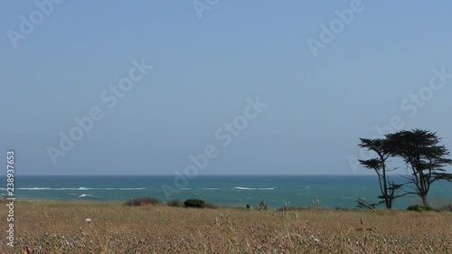 Ano Nuevo State Park, Santa Cruz County, California, USA, 2018 photo