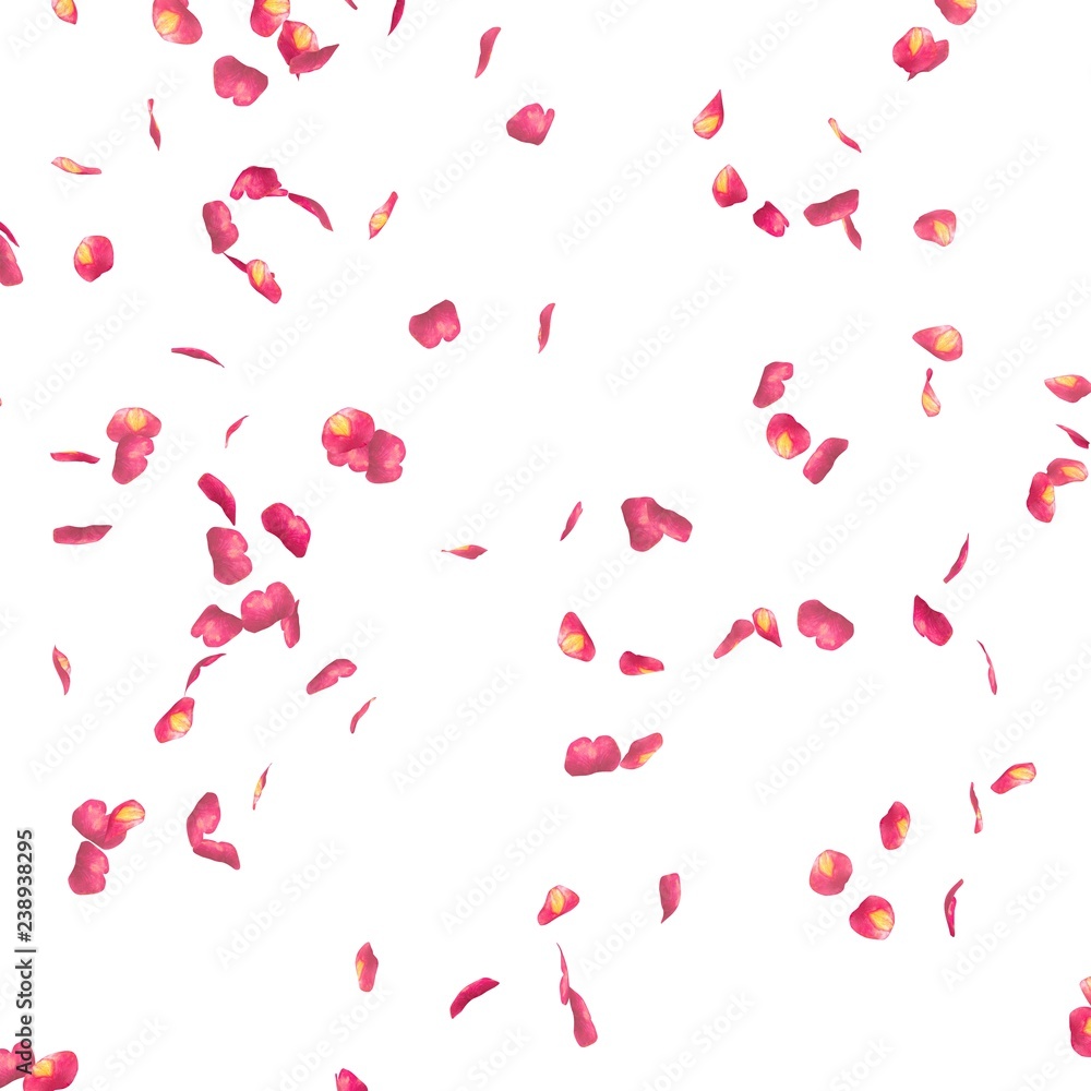 Rose petals fly in the air Rose petals fly in the air