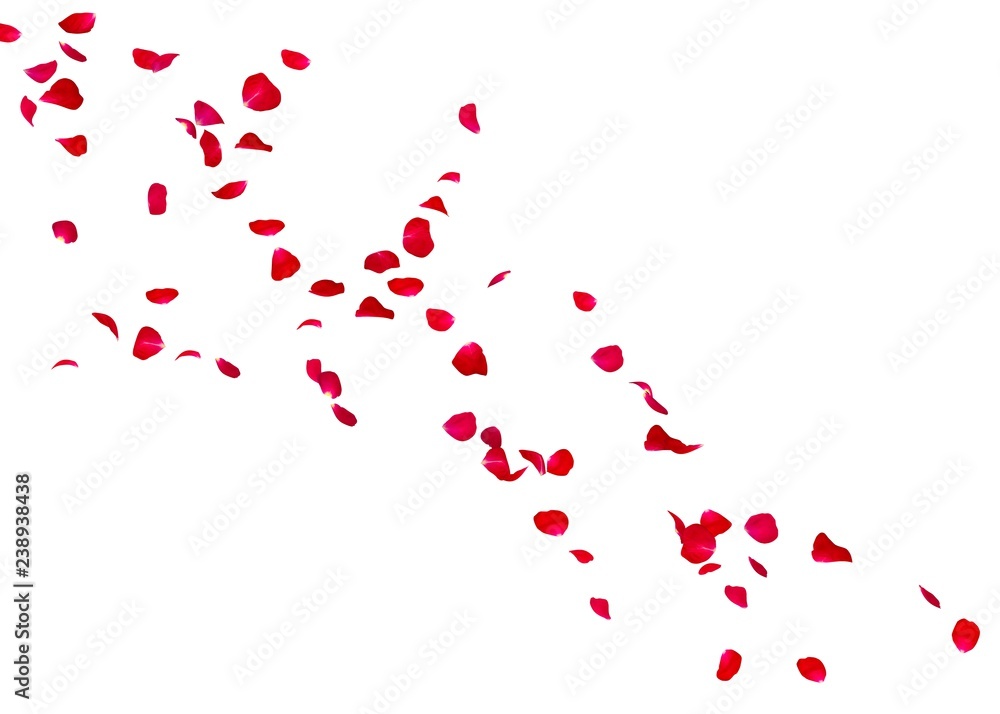The petals of a red rose fly far into the distance