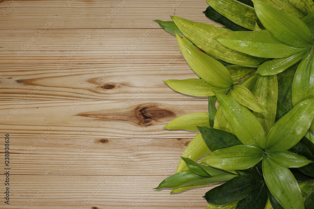 Composite nature background, with green leaf and wooden background, copy space, empty space Composite nature background, with green leaf and wooden background, copy space, empty space