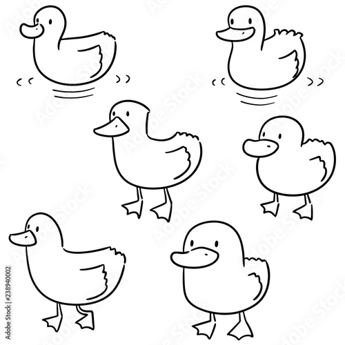 vector set of duck