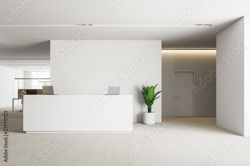 White reception in modern office