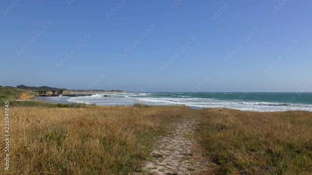 The Pacific Ocean at Ano Nuevo State Park, Santa Cruz County, California, USA, 2018 The Pacific Ocean at Ano Nuevo State Park, Santa Cruz County, California, USA, 2018