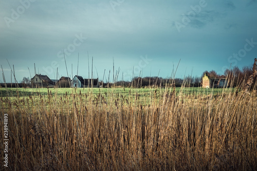 Typical countryside in Belgium at winter