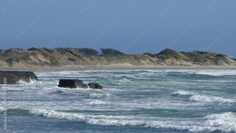 The Pacific Ocean at Ano Nuevo State Park, Santa Cruz County, California, USA, 2018 The Pacific Ocean at Ano Nuevo State Park, Santa Cruz County, California, USA, 2018
