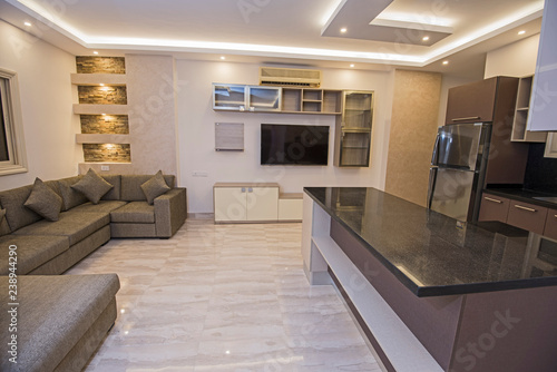 Interior design of open plan luxury apartment living room