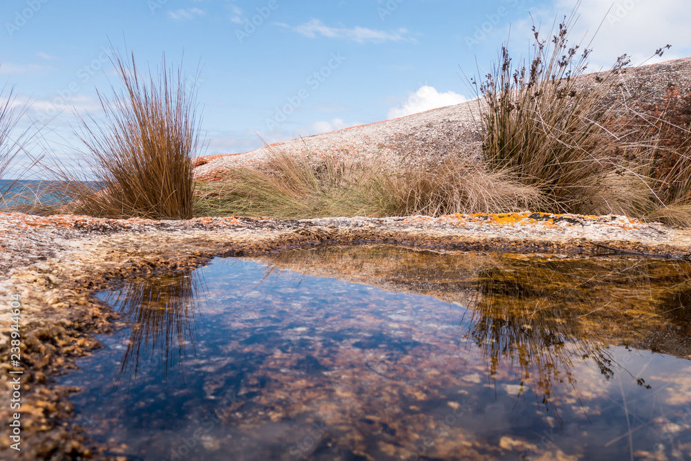 Bay of Fire - Tasmanien - Spiegelung im Wasser 