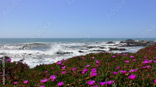 The Pacific Ocean at Bean Hollow State Beach, Santa Cruz County, California, USA, 2018 photo