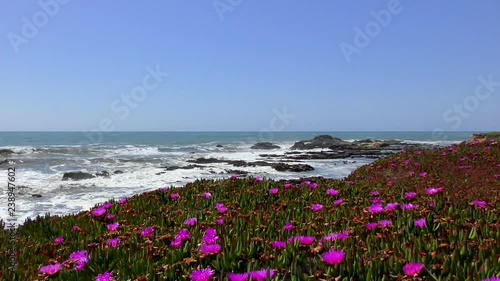 The Pacific Ocean at Bean Hollow State Beach, Santa Cruz County, California, USA, 2018 photo