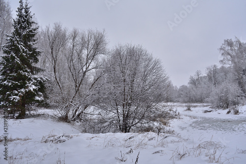 winter landscape with trees and snow