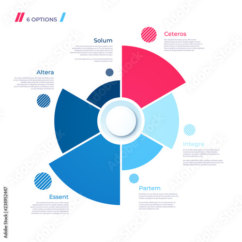 Pie chart concept with 6 parts. Vector template for web, present