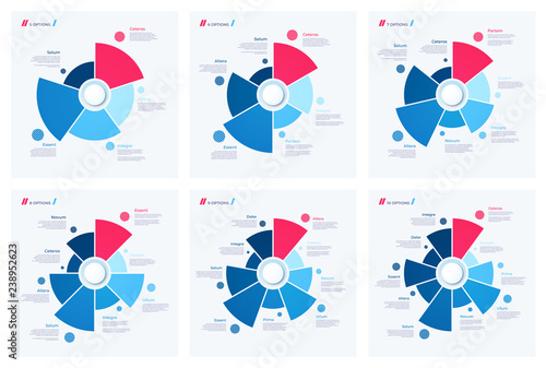 Set of pie chart concepts. Vector templates for web, presentatio