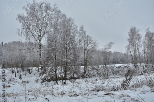 winter rural landscape with frozen trees in winter