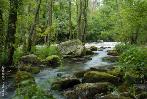 River in the forest in west Sweden