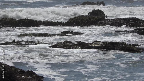 The Pacific Ocean at Bean Hollow State Beach, Santa Cruz County, California, USA, 2018 photo