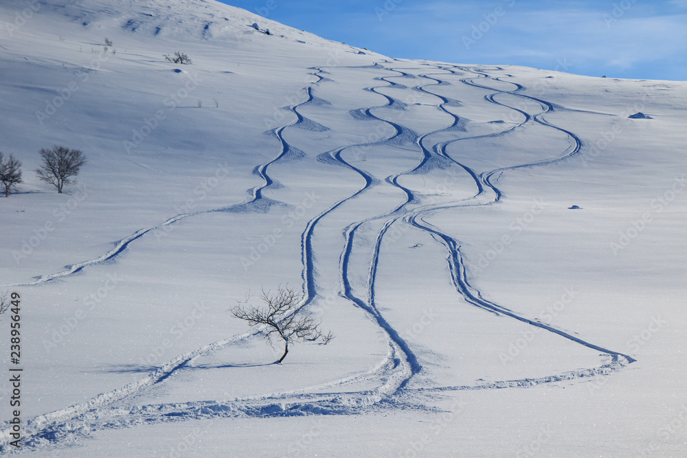 Obraz premium Snow and sun, winter snowy mountains with forest trees landscape. Winter time, Russia, beautiful wild nature of northern hills. Beautiful snow winter ice and cold scenery view, sky with light clouds