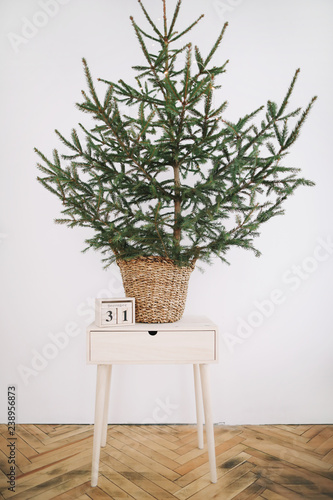 Green Pine, Christmas tree and wooden calendar. A green fir tree on a white background