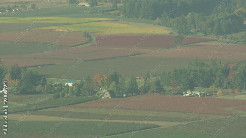 Oregon Wine Farm Country Aerial Oregon Wine Farm Country Aerial