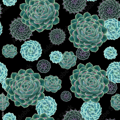 Succulent floral seamless pattern, scrapbooking graphics on black blackgound photo