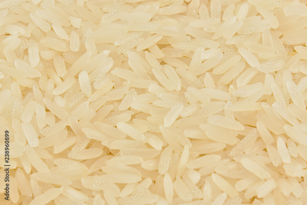 macro close up of rice macro close up of rice