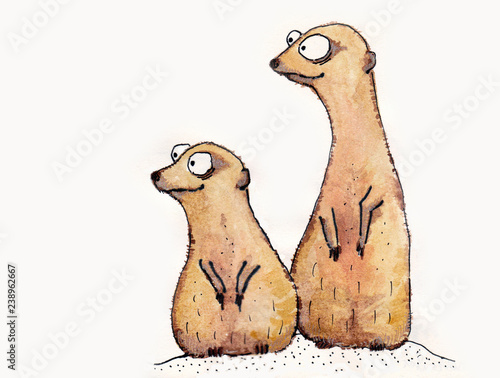 two meercats