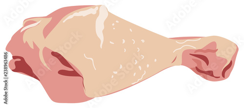 Raw Chicken Leg