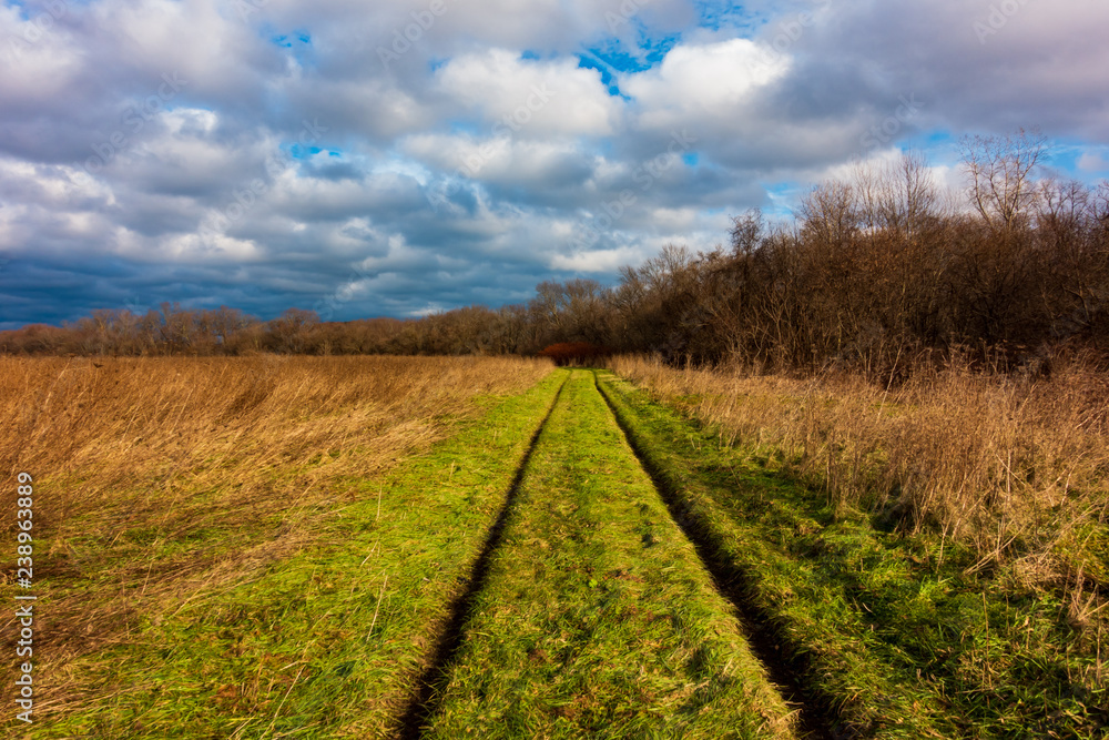 Naklejka premium rural road in the field