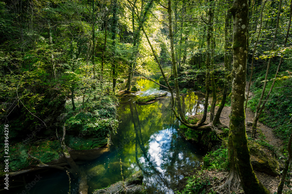 waterfall in the forest