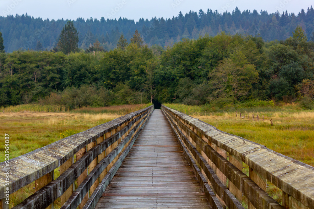 walkway over grassy marsh land in summer